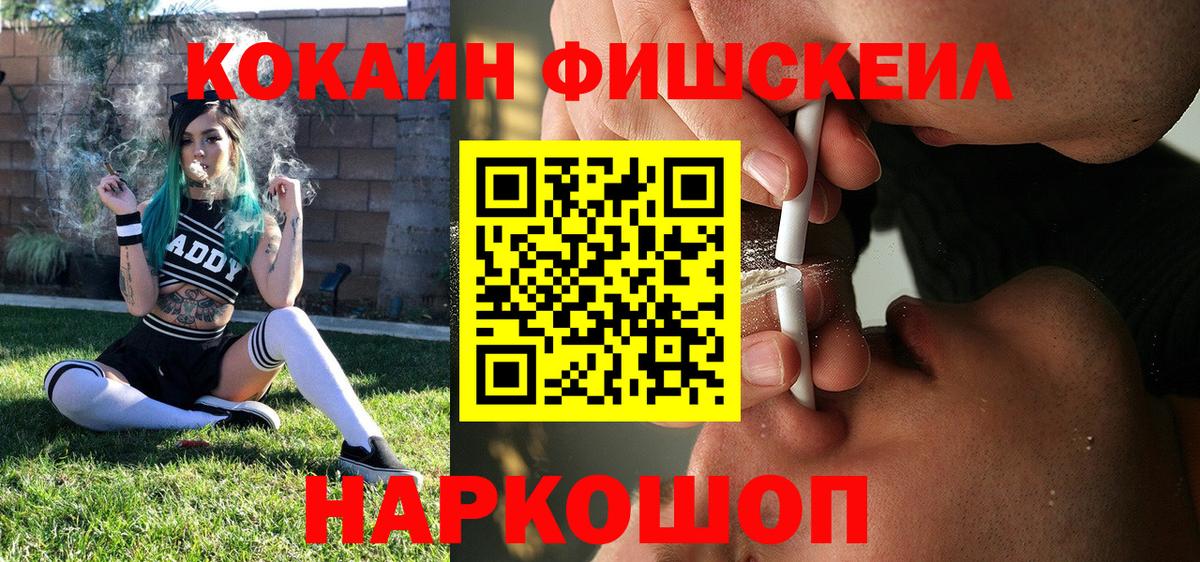 Губкин  Cocaine Fish Scale  КОКАИН Эквадор  Вход с VPN 