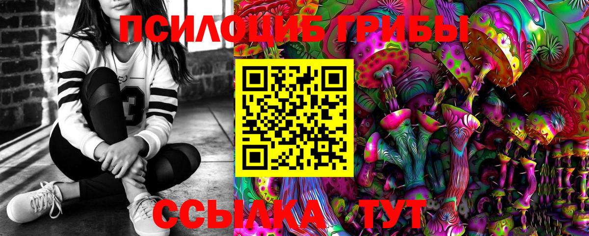 Псилоцибиновые грибы Psilocybe Губкин