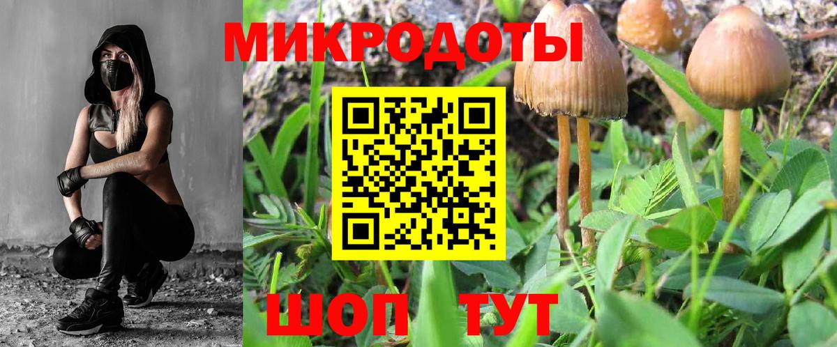 Псилоцибиновые грибы Psilocybe  Вход с VPN  Губкин 